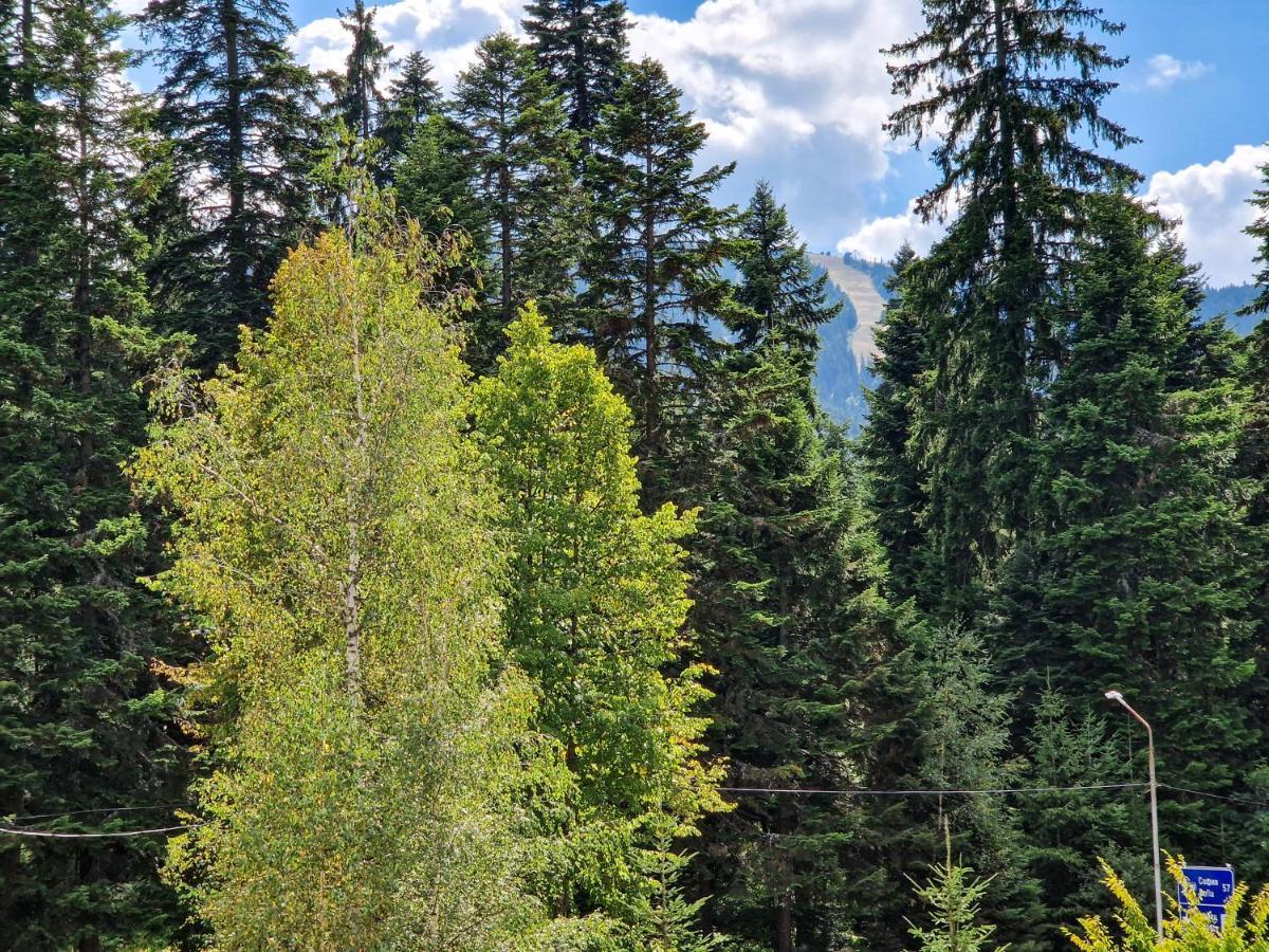 Sunny Apartment C25 Borovets Dış mekan fotoğraf